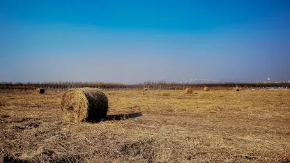 Casino Adrenaline Mobiele App